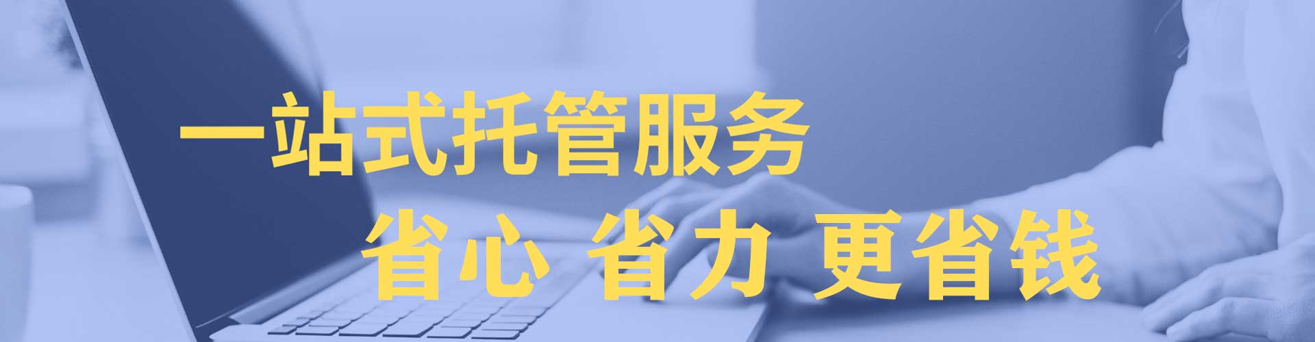 新平百度竞价包年